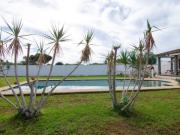 | FINCA Y CHALET | SAN SEBASTÍAN DE LOS REYES | LUXUS...