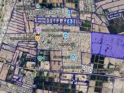 Finca y gran terreno en Médano de Oro