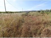 Finca yerma en la Martorella