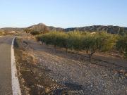 Finca/Casa Rural en venta en Abanilla, Murcia