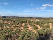 Finca/Casa Rural en venta en Alameda, Málaga