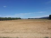 Finca/Casa Rural en venta en Albacete, Albacete