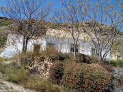 Finca/Casa Rural en venta en Albox, Almería