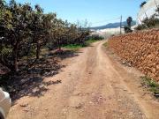 Finca/Casa Rural en venta en Alcoy / Alcoi, Alicante