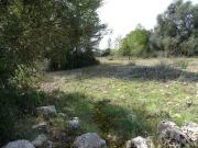 Finca/Casa Rural en venta en Algaida, Mallorca