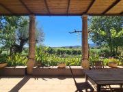 Finca/Casa Rural en venta en Algaida, Mallorca