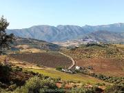 Finca/Casa Rural en venta en Algodonales, Cádiz