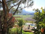 Finca/Casa Rural en venta en Algodonales, Cádiz