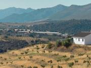 Finca/Casa Rural en venta en Alhama de Granada, Granada