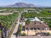 Finca/Casa Rural en venta en Alicante / Alacant,...