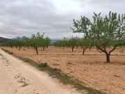 Finca/Casa Rural en venta en Alicante / Alacant,...