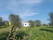 Finca/Casa Rural en venta en Almonte, Huelva