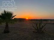 Finca/Casa Rural en venta en Almonte, Huelva