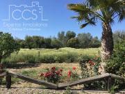 Finca/Casa Rural en venta en Almonte, Huelva