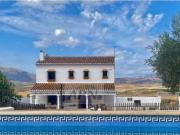 Finca/Casa Rural en venta en Alora, Málaga