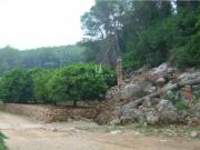 Finca/Casa Rural en venta en Alzira, Valencia