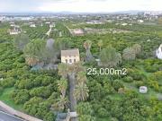 Finca/Casa Rural en venta en Alzira, Valencia