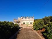 Finca/Casa Rural en venta en Alzira, Valencia