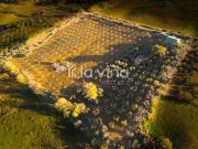 Finca/Casa Rural en venta en Antequera, Málaga