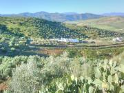 Finca/Casa Rural en venta en Antequera, Málaga