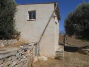 Finca/Casa Rural en venta en Ascó, Tarragona