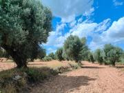 Finca/Casa Rural en venta en Belmonte de San José, Teruel