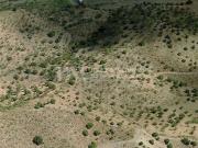 Finca/Casa Rural en venta en Benajarafe, Málaga