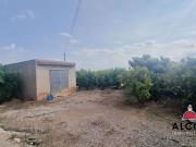 Finca/Casa Rural en venta en Benicarló, Castellón Costa...