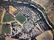 Finca/Casa Rural en venta en Benicarló, Castellón Costa...