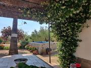 Finca/Casa Rural en venta en Càlig, Castellón Costa Azahar