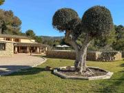 Finca/Casa Rural en venta en Calvià, Mallorca