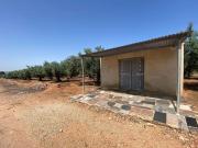 Finca/Casa Rural en venta en Canals, Valencia