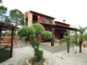 Finca/Casa Rural en venta en Catral, Alicante