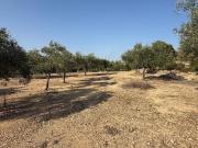 Finca/Casa Rural en venta en Cervera del Maestre /...