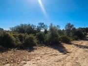 Finca/Casa Rural en venta en Cervera del Maestre /...