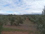 Finca/Casa Rural en venta en Ciudad Real, Ciudad Real