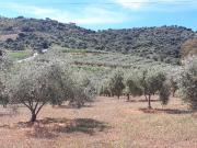 Finca/Casa Rural en venta en Coín, Málaga