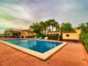 Finca/Casa Rural en venta en Crevillente / Crevillent,...