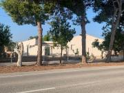 Finca/Casa Rural en venta en Dolores, Alicante