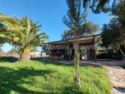 Finca/Casa Rural en venta en El Tanque, Tenerife