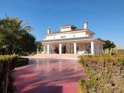 Finca/Casa Rural en venta en Elche / Elx, Alicante