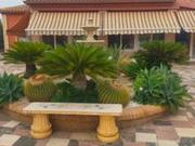Finca/Casa Rural en venta en Elche / Elx, Alicante