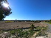 Finca/Casa Rural en venta en Elche / Elx, Alicante