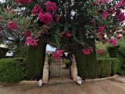 Finca/Casa Rural en venta en Elda, Alicante