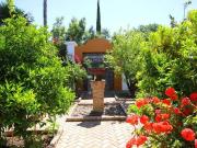 Finca/Casa Rural en venta en Gaucín, Málaga