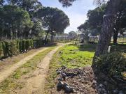 Finca/Casa Rural en venta en Gibraleón, Huelva