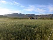 Finca/Casa Rural en venta en Almería, Almería Costa Almería