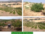 Finca/Casa Rural en venta en Guadahortuna, Granada