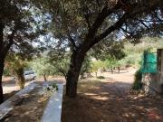 Finca/Casa Rural en venta en Guajar Alto, Granada Costa...