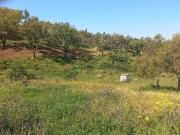 Finca/Casa Rural en venta en Huelva, Huelva Costa de la Luz